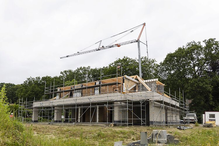 Werf in de kijker - Edingen